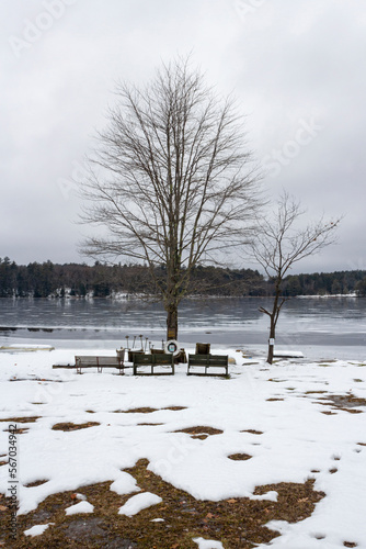 Winter landscape with snow and trees by the lake