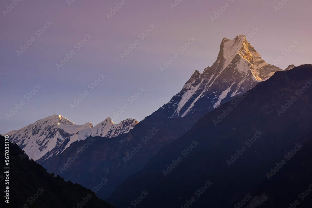 Mt. Machhapuchhre, or Fishtail, seen from Chhomrong, a village on Annapurna base camp trekking, Nepal. Himalaya mountains at sunrise.