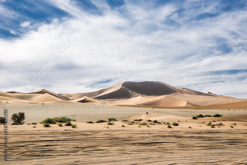 Namib desert in Sossusvlei in sunny day. Dunes and sand road to Deadvlei under blue sky and white cirrus clouds.
