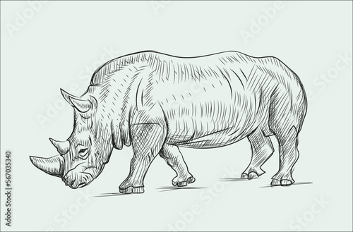 Hand Drawn sketch of Rhino vector illustration on white background