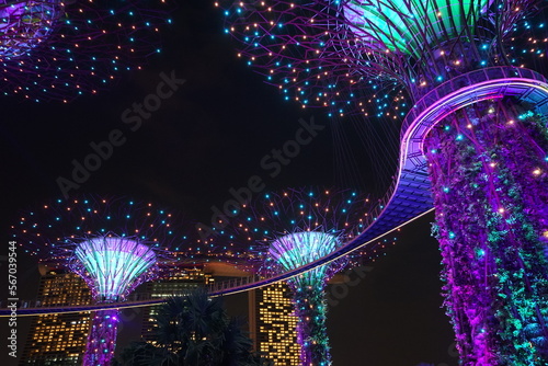 Supertree Grove, Lightshow in Singapore - シンガポール スーパーツリー グローブ ライトショー イルミネーション
