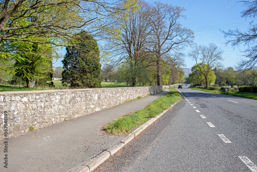 Springtime roadside scenery in Wales.