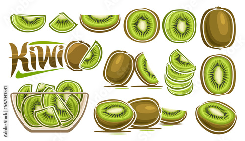 Vector Kiwi Set, banner with lot collection of cut out illustrations fruit still life composition, ripe juicy chopped kiwi fruit with seeds in glass dish, many different tropical fruits and text kiwi