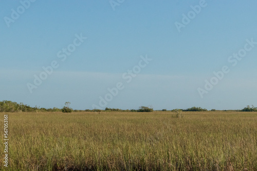 Everglades National Park in Homestead, Florida