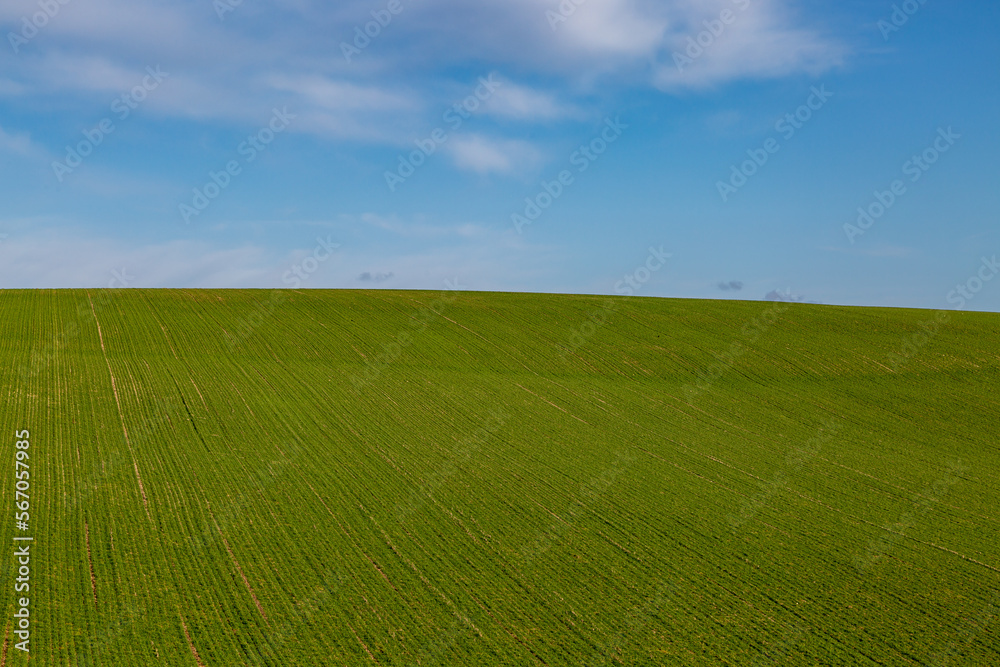 Looking up a green hillside in Sussex with a blue sky overhead
