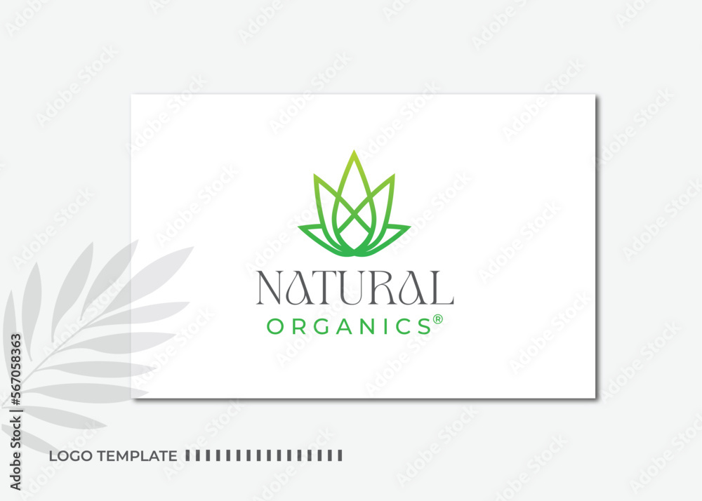 Nature Leaves Logo Design template