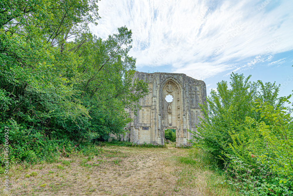 Obraz premium Ruines du château et de la collégiale des Roches-Tranchelion