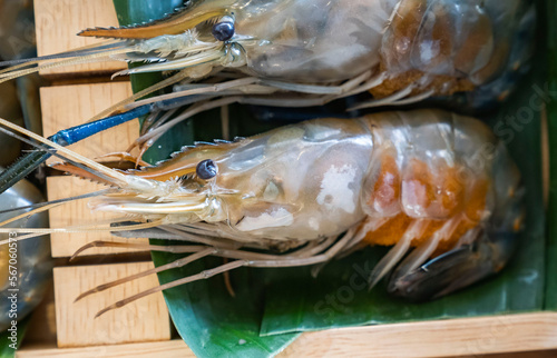 Plate of deliciouse raw saltwater shrimp, ready for cooking photo