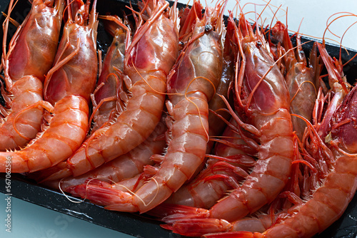 Tableau sur toile Gambas  frescas y crudas.