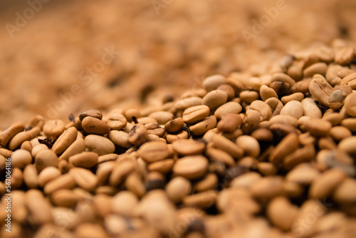 coffee beans macro photo