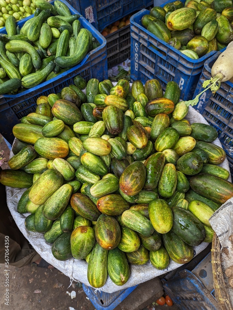 Fresh green bunch of cucumbers for sale in local market. Fresh green bunch of cucumbers for sale in local market.