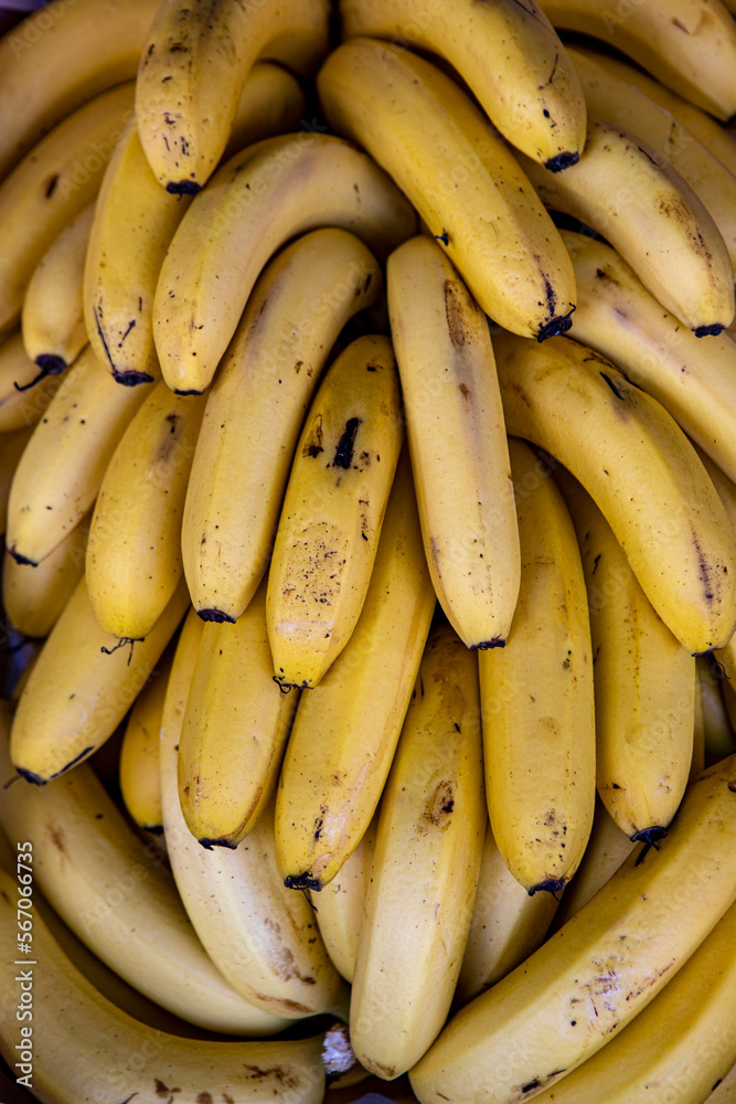 Bunches of ripe banana at outdoor market stall in Sao Paulo city, Brazil Bunches of ripe banana at outdoor market stall in Sao Paulo city, Brazil