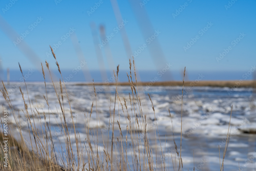 Nordsee gefroren mit Gräsern