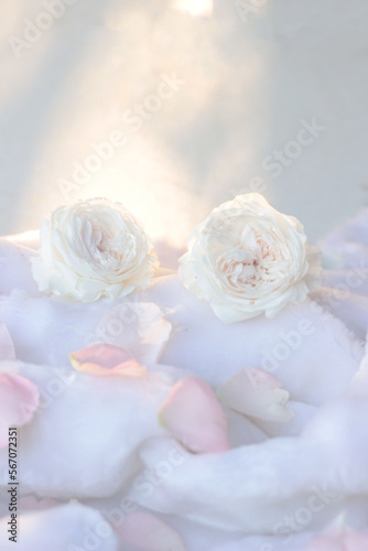 white rose petals