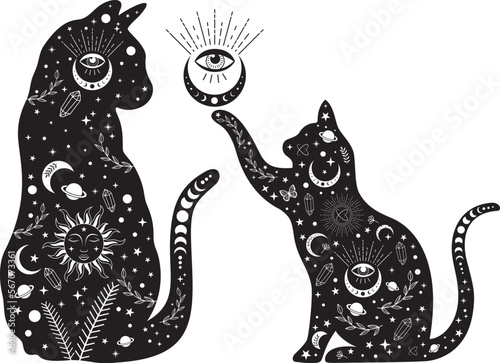 Mystical Cats on white background