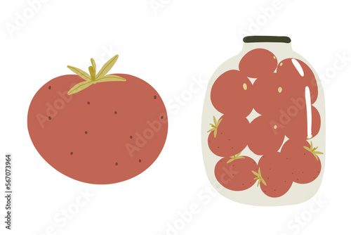 Whole tomato and jar of canned tomatoes, vector harvest illustration on white background for sticker, print, poster