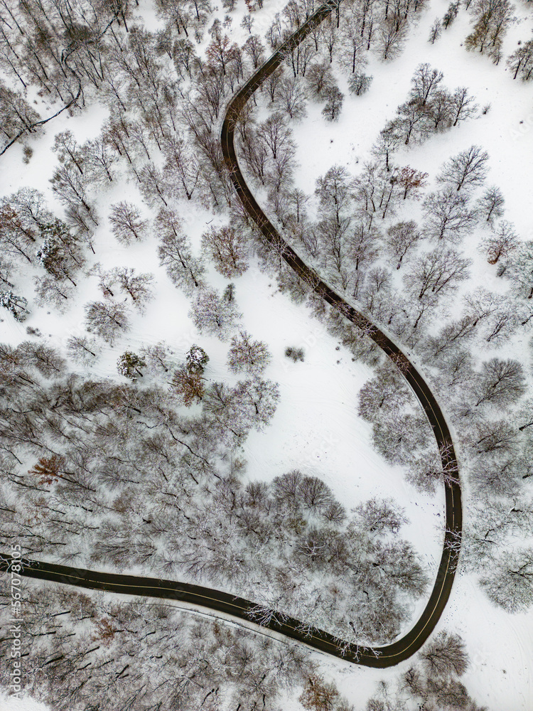 Soaring Above Romania's Winter Wonderland: A Breathtaking Aerial View of a Majestic Forest