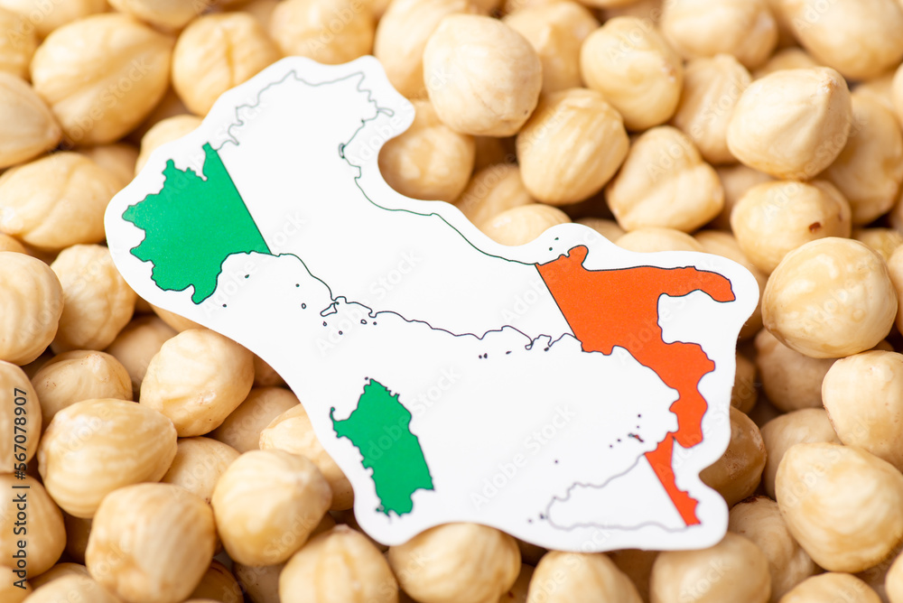 Flag and map of Italy on hazelnuts. Concept of growing hazelnuts in