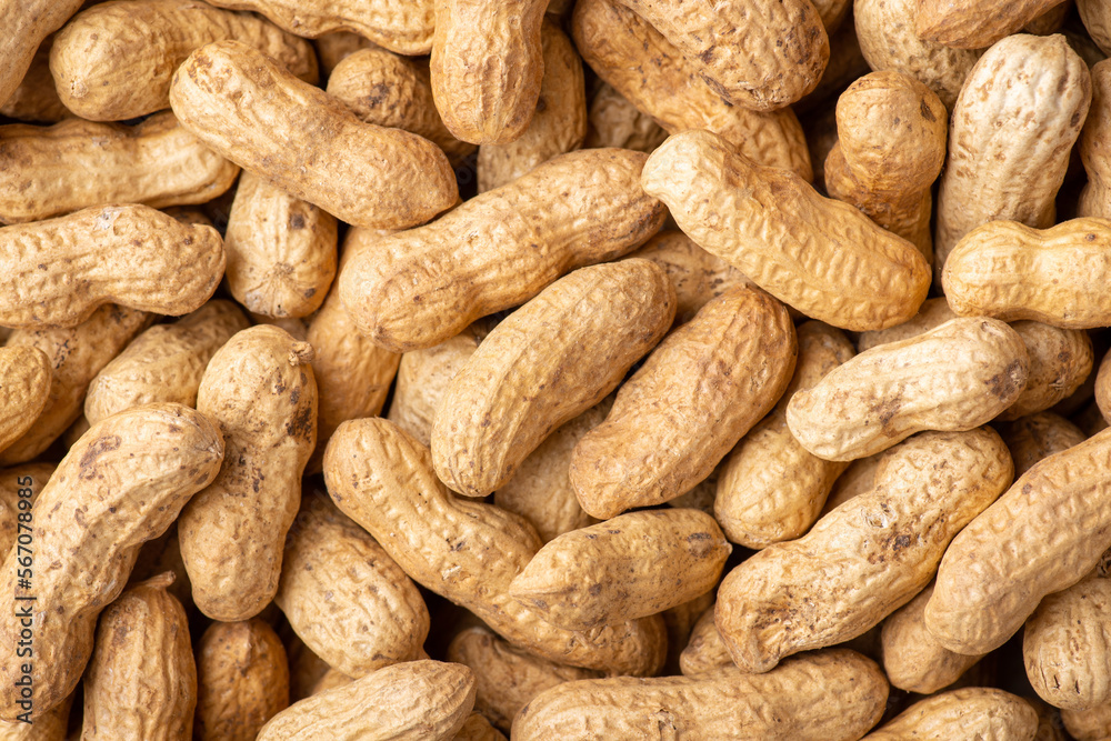 Background of peanuts in peel. Close up shot of tasty roasted peanut Background of peanuts in peel. Close up shot of tasty roasted peanut