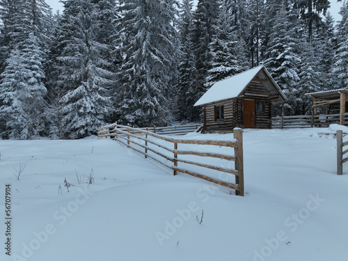 Splendid mountain winter landscape with secluded small wooden alpine cottage among the fir trees fully covered by snow during snow fall.
