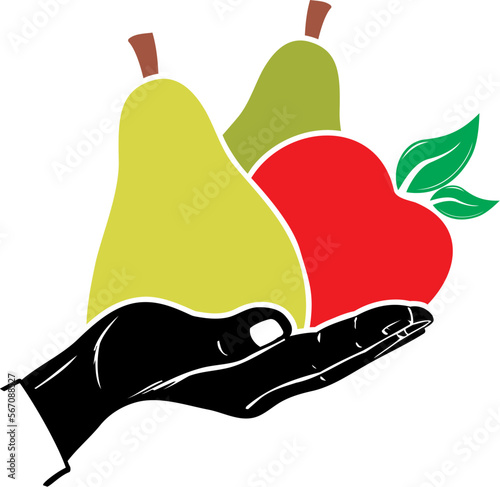 PRESENTATION DE FRUITS_1