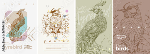 Lyrebird. Abstract geometric background. Engraving style. Typography posters design. Simple pencil drawing. Set of flat vector illustrations. Print, banner, label, cover or t-shirt.