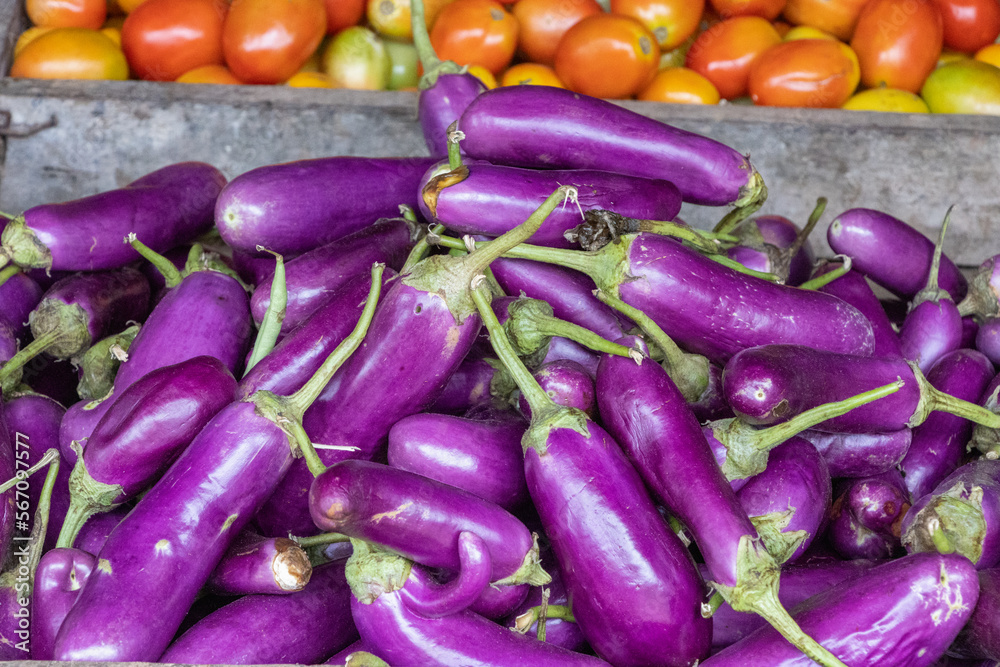 Purple eggplants ans other vegetables fesh from the fields on the market in Sri Lanka Purple eggplants ans other vegetables fesh from the fields on the market in Sri Lanka