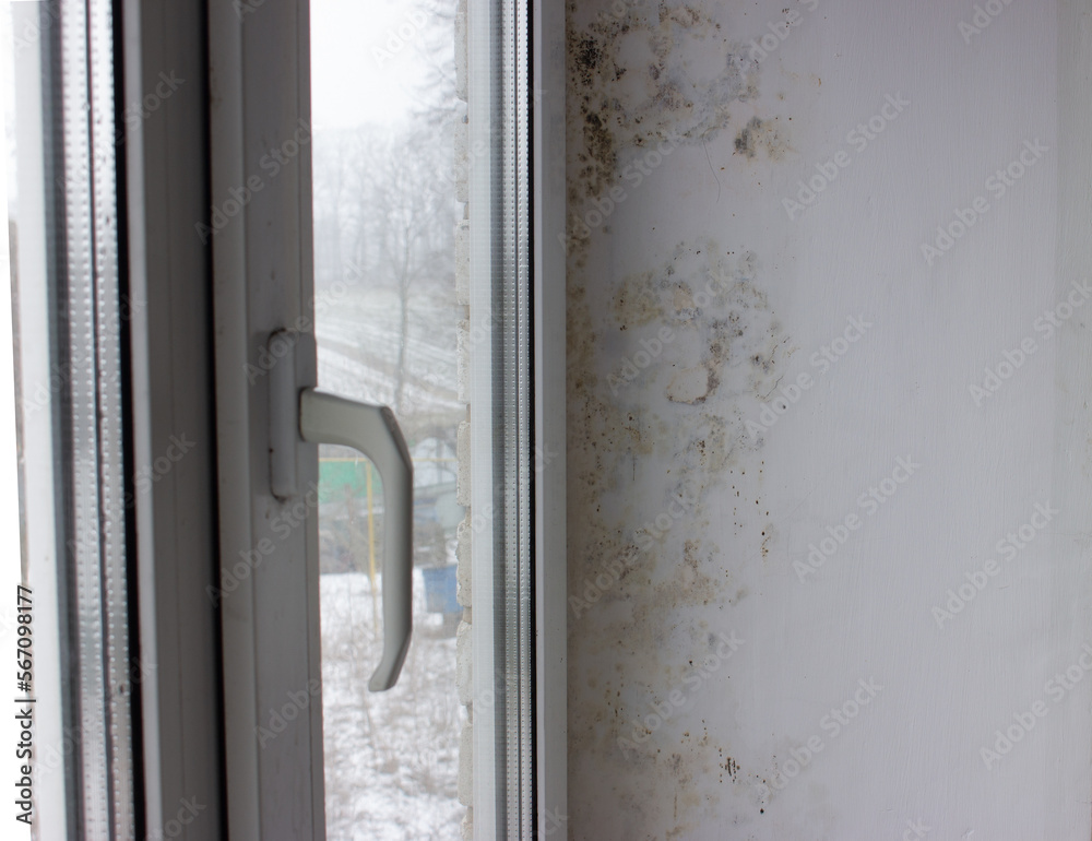 The slope near the window is covered with moisture stains, fungus covers the wall. Black mold with yellow spots on a white wall The slope near the window is covered with moisture stains, fungus covers the wall. Black mold with yellow spots on a white wall