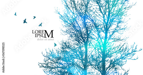 Blue forest landscape with flying birds. Vector illustration