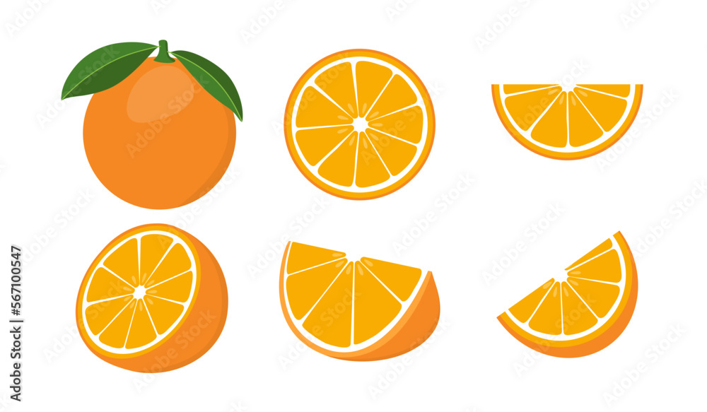 Set of fresh oranges. Orange fruit isolated on white background. Vector illustration for design and print, web