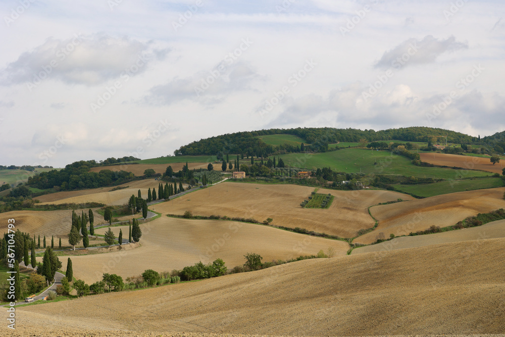 Obraz premium Typical Autumn Tuscan scenery with curved road and cypresses on the hill, Tuscany, Italy, Europe.