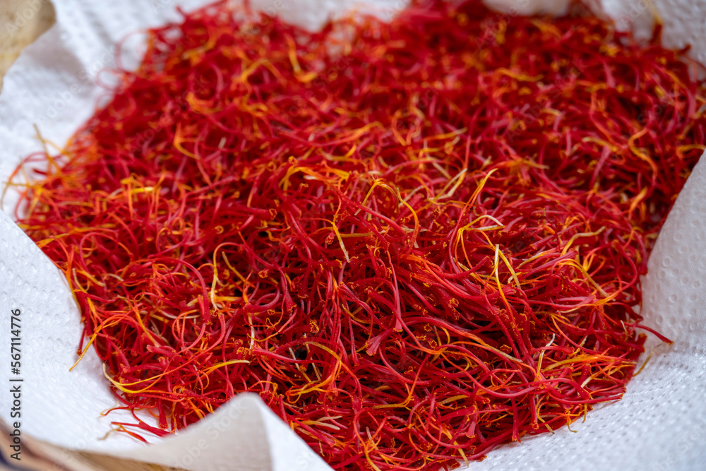 Naklejka premium Manual processing of saffron, a cooking spice.