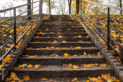Stairs in an autumn park covered with yellow leaves on a clear autumn day. Park.