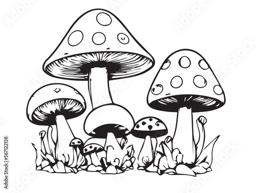 Mushrooms in cartoon black and white style for coloring. Vector illustration