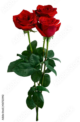 Bouquet of red roses isolated on transparent background