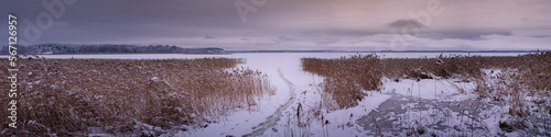 winter frozen lake with coastal reed and footpath under cloudy sky at evening twilight. widescreen panoramic view