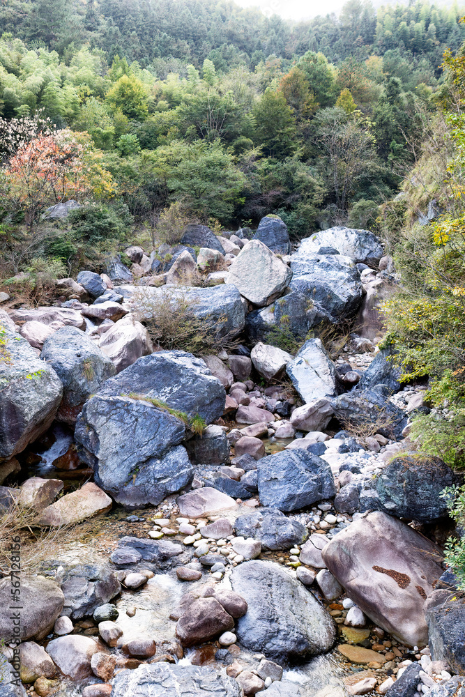 Extreme drought with low running water in creek bed Extreme drought with low running water in creek bed