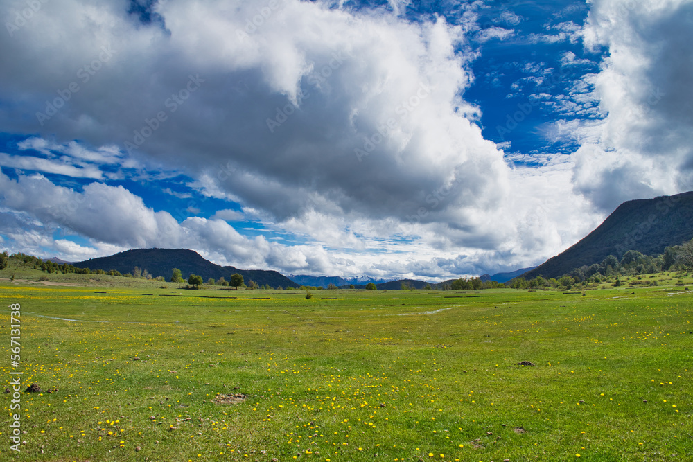 Immense landscape of green meadows and clouds in Patagonia. Small yellow flowers