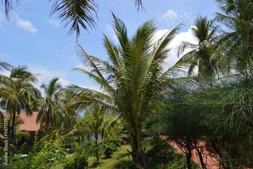 Wallpaper Mural Beautiful summer day on the nature Torontodigital.ca