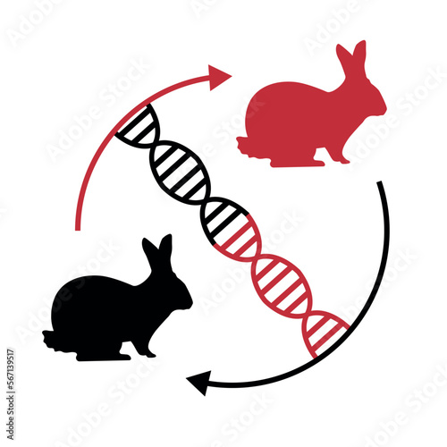 animal cloning Biochemistry symbol, Biological processes sign, biology and engineering drawing, Fgenetic manipulations.
