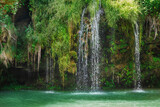 View of amazing waterfall in Ukraine national park in summer - moving flows, hanging plants and vivid emerald water - fresh coolness on a hot day, touristic attraction, beautiful scenic landscape