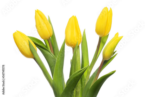 Yellow tulip arrangement