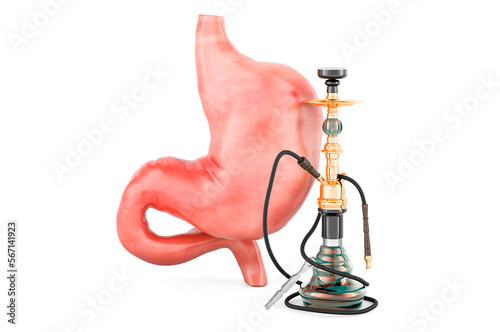 Hookah with stomach, 3D rendering photo
