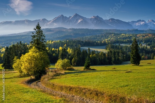 A beautiful autumn day on a pasture under rocky mountains with a wild forest, a beautiful forest path in the middle of a meadow and a blue sky. High Tatras National Park, Poland, Slovakia