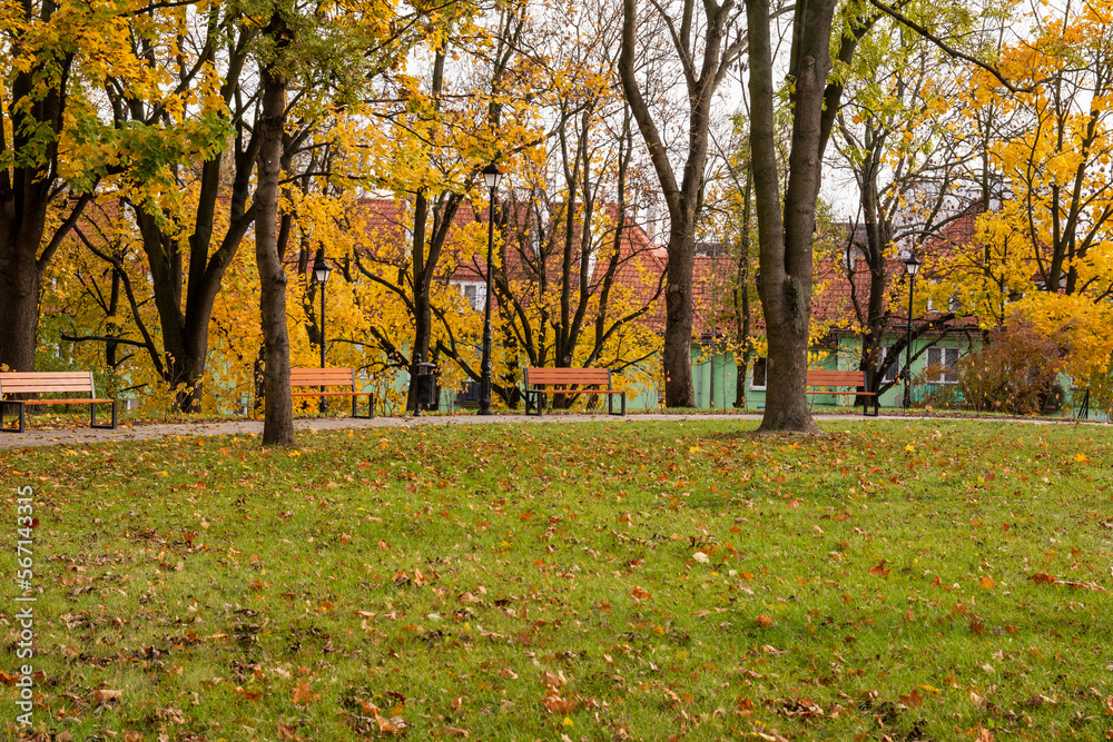 Autumn bench in a park full of falling yellow leaves. Day.