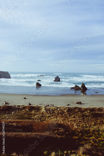 Oregon Coast Beach  Pacific Ocean Surf. 
