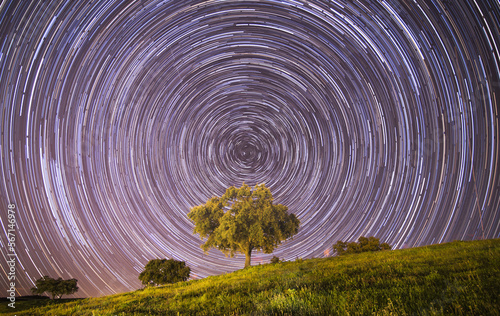 polar startrails in the night south spain