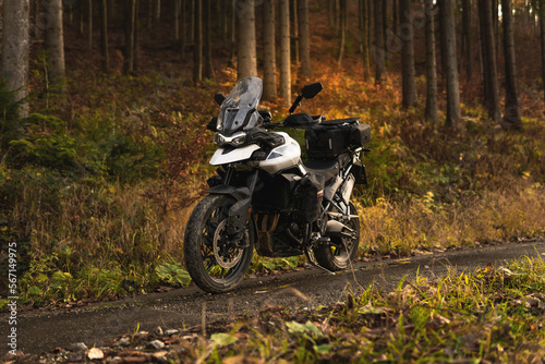 Triumph Tiger motorcycle on the forest road in mountains