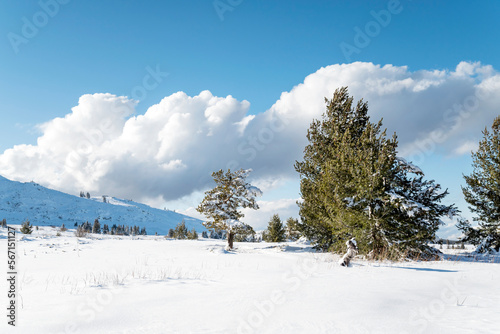Beautiful Winter Mountain Landscape with Fog and Clouds .Vitosha Mountain, Bulgaria	