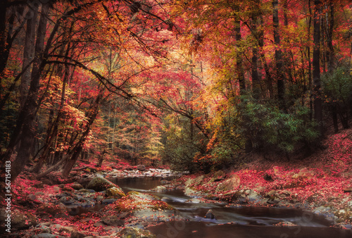 Scenic autumn view from Smoky Mountain National Park with colorful fall foliage and stream 